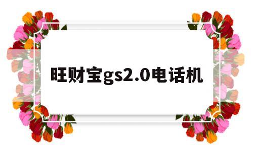 
旺财宝gs2.0电话机
